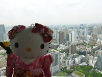 Hello Tokyo